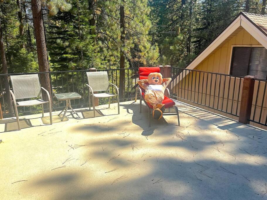 Tahoe Townie - Cozy In South Tahoe! South Lake Tahoe